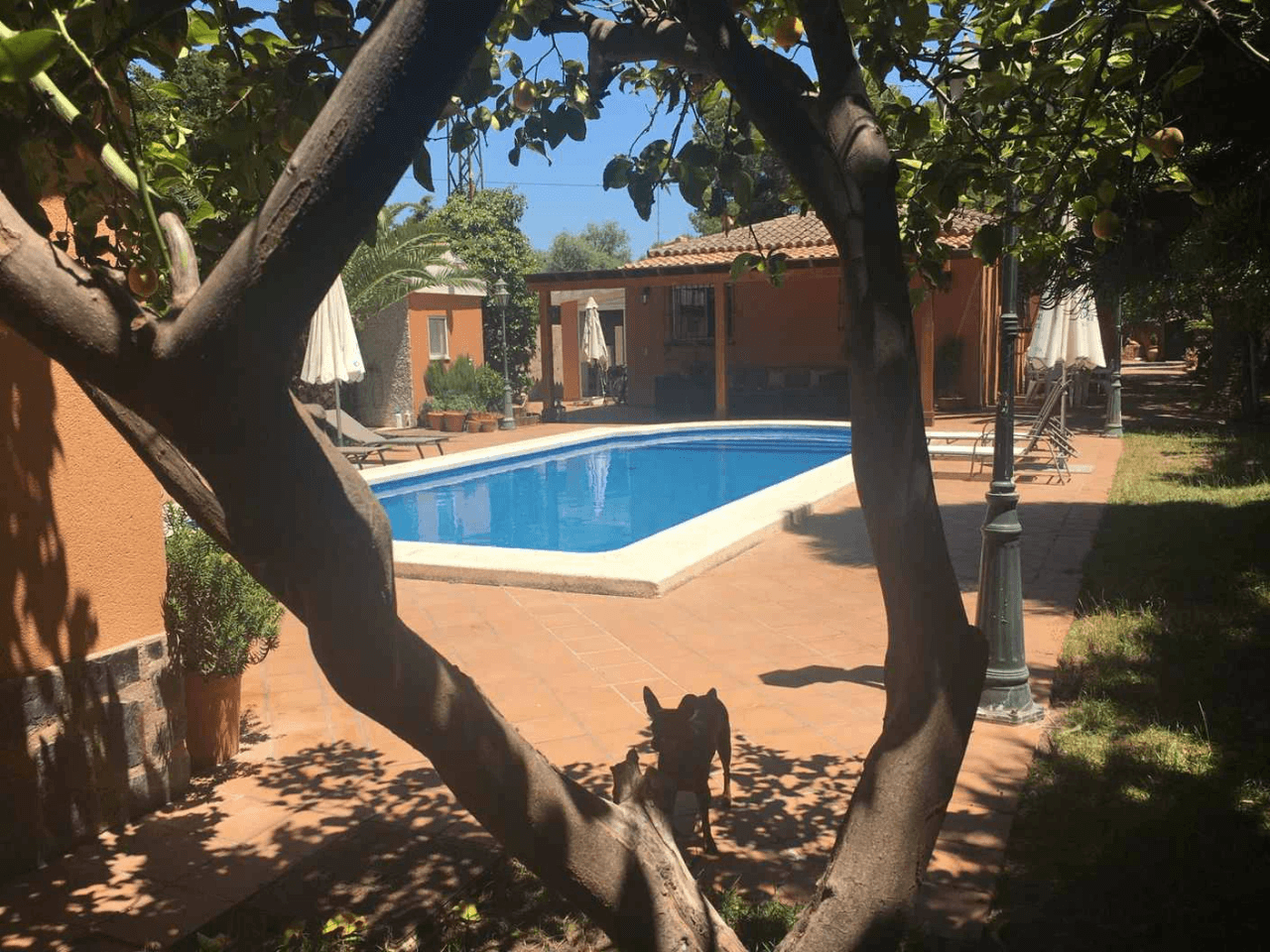Herrliche Villa am Muchavista Strand