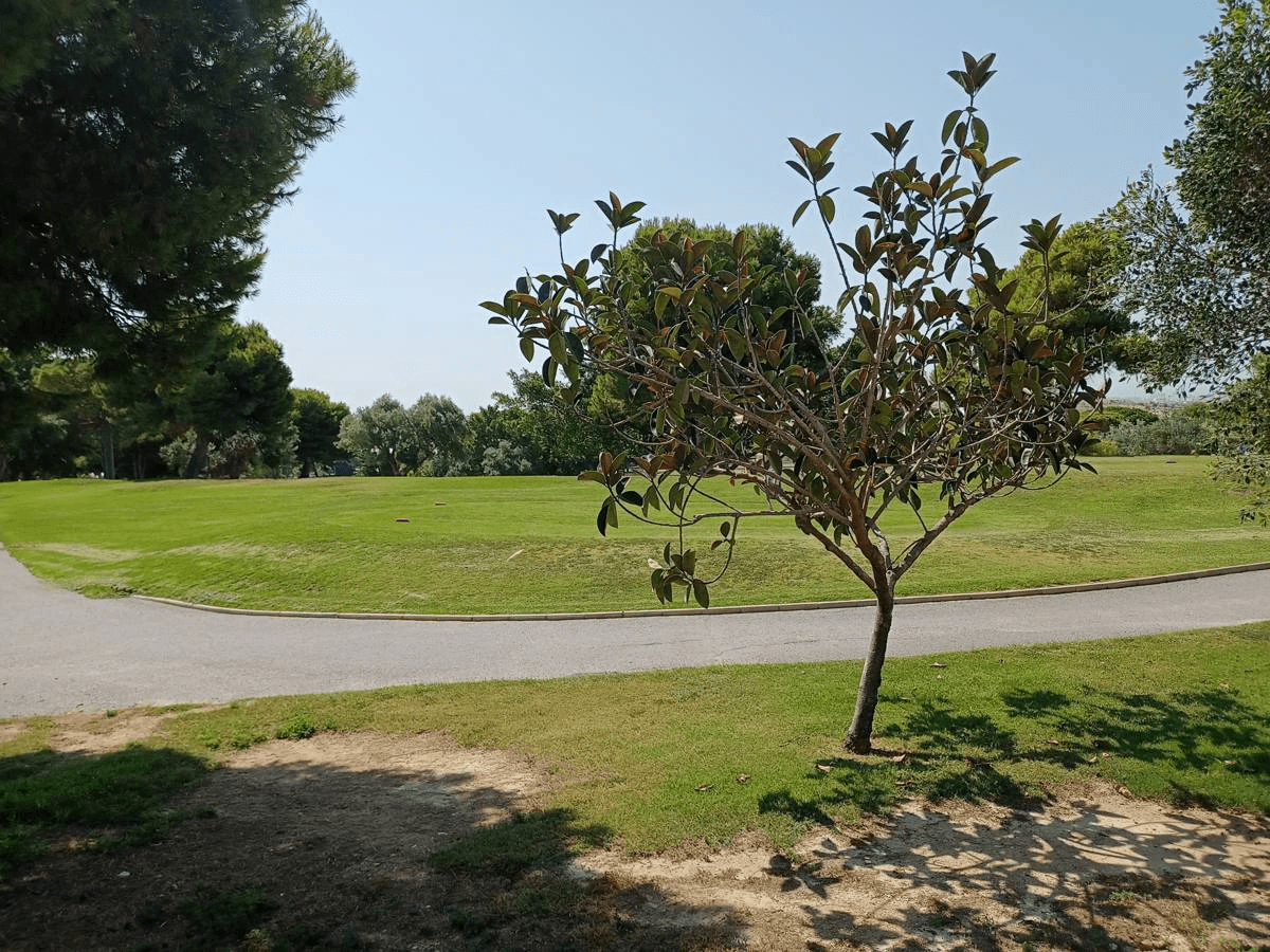 Apartamento con vistas al mar en campo de golf cerca de Alicante